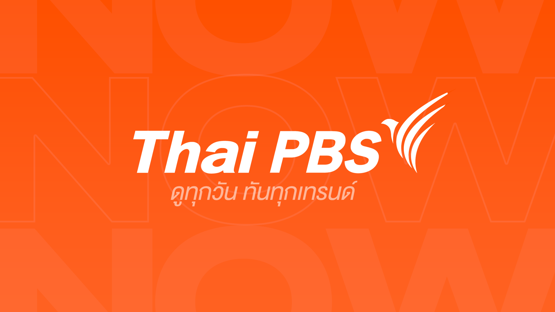 Read NOW | Thai PBS News ข่าวไทยพีบีเอส